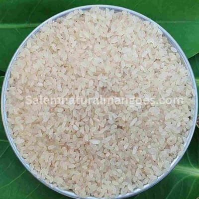 Salem Natural Mangoes